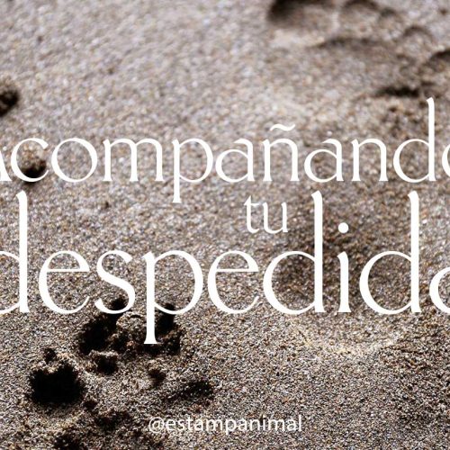 Apoyo en Duelo PDF