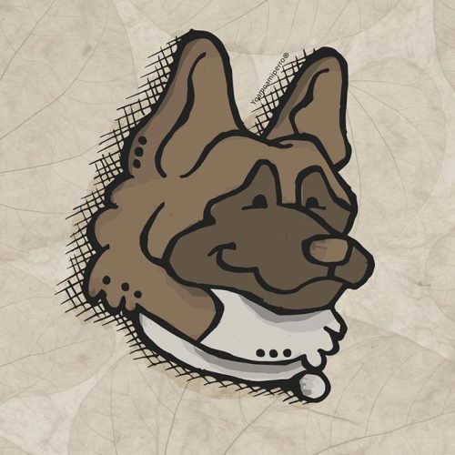 Akita