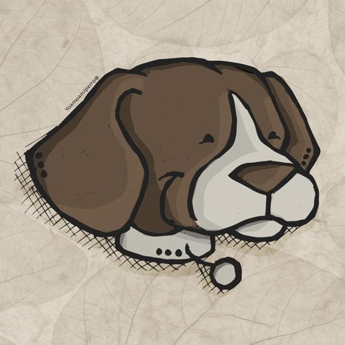 Beagle