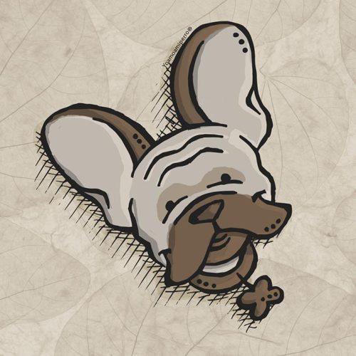 Bulldog Francés