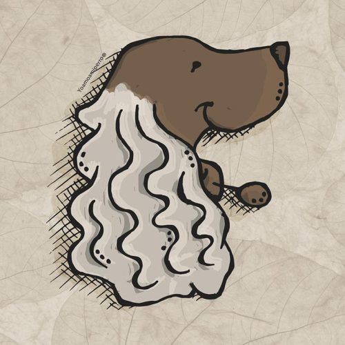 Cocker Spaniel