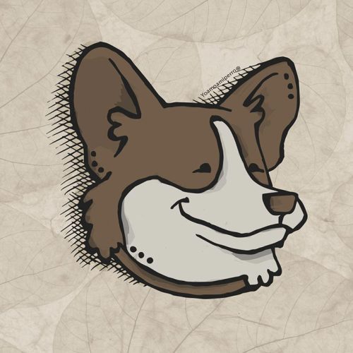 Corgi