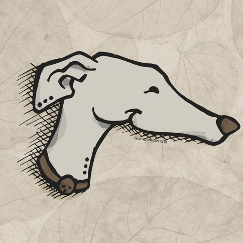Galgo