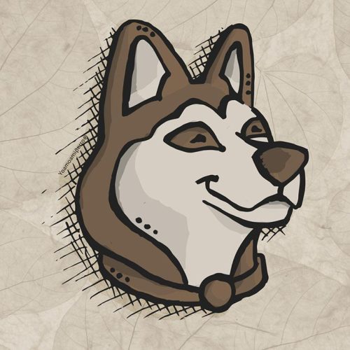 Husky Siberiano