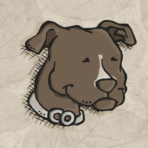 Pitbull