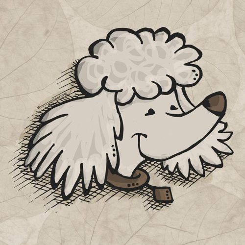 Poodle