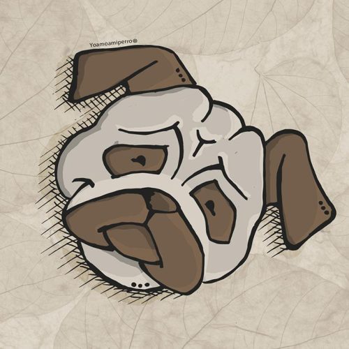 Pug