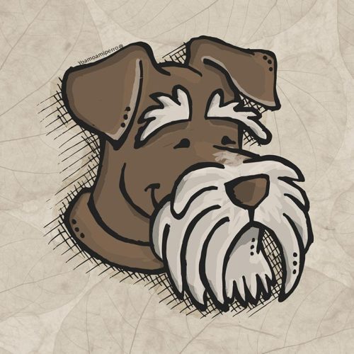 Schnauzer