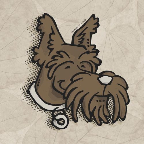 Scottish Terrier