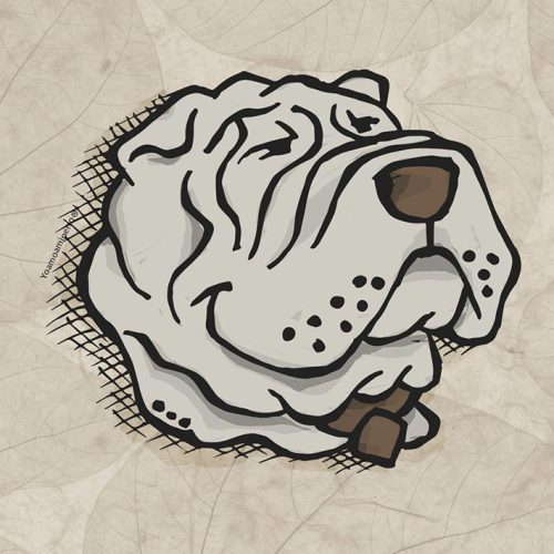 Sharpei