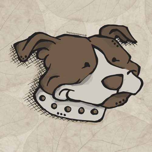 Staffy