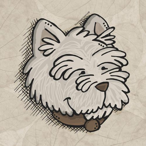 Westie